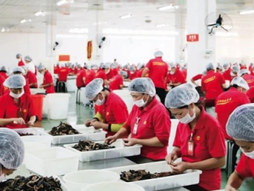 Cymhwyso mesurydd lleithder microdon deallus mewn canfod lleithder cnau betel